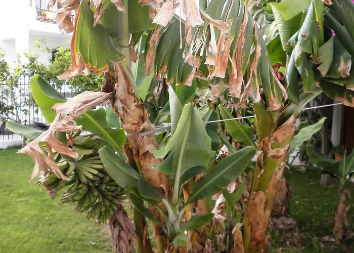 Pensjonat Rubini Páros