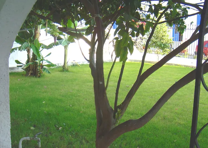 Rubini Guest house 4*